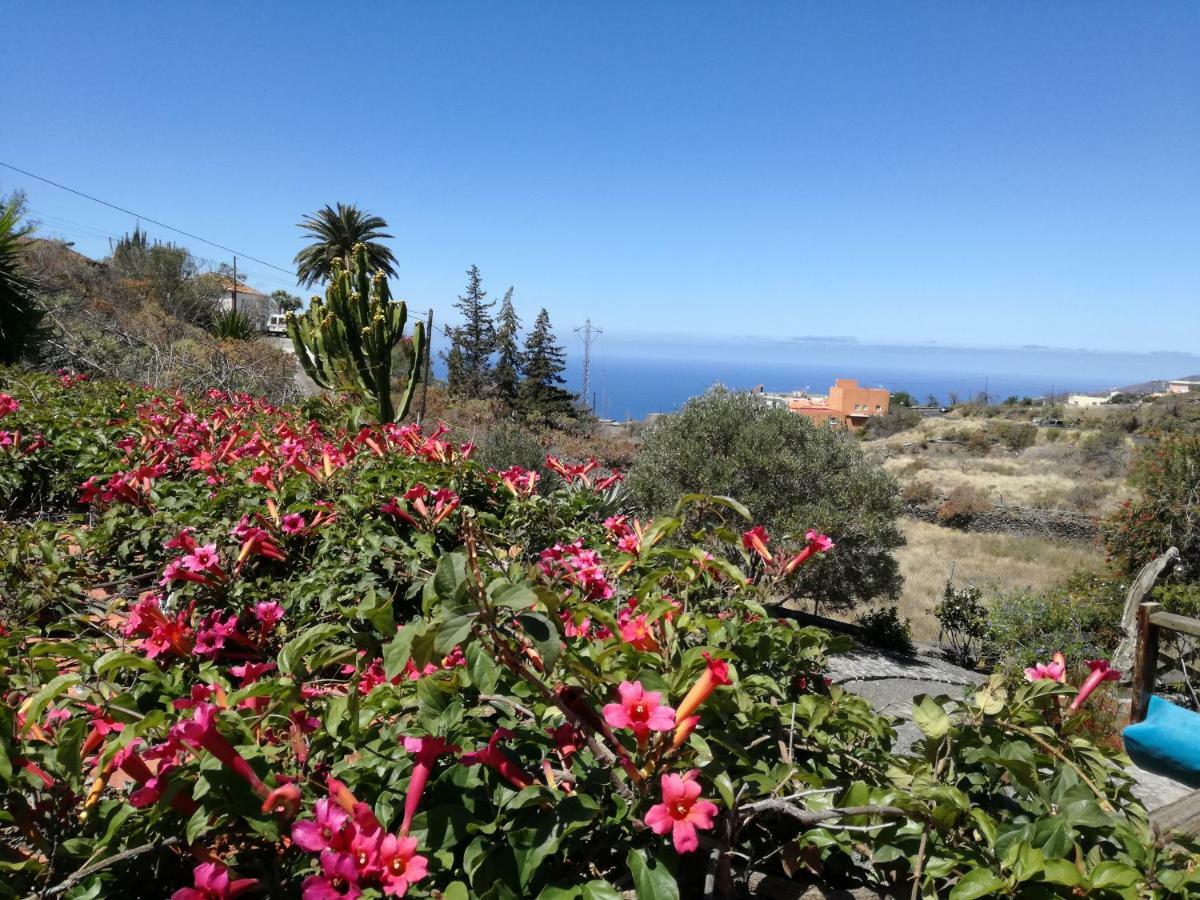 לוס יאנוס דה אריאדנה Finca Alda מראה חיצוני תמונה